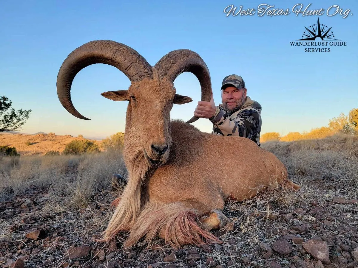 Devils River #1 Aoudad Hunts — photo 4