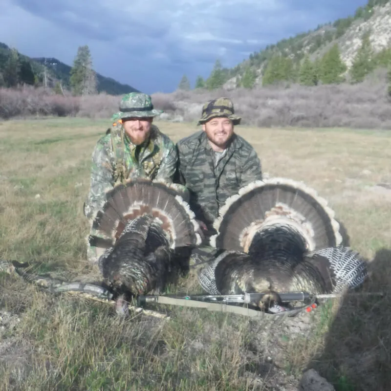 Turkey Hunt - Semi-guided