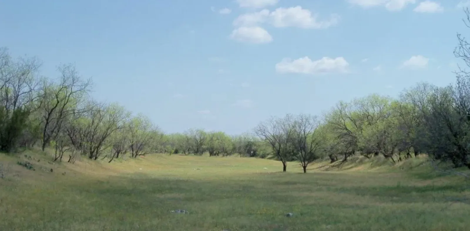 DIY Dove Hunts at Sierra Blanca Ranch