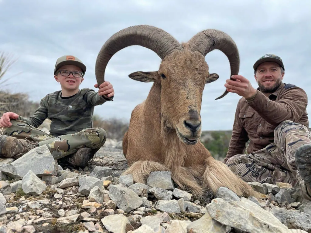 Consuelo Ranch Aoudad Hunts — photo 4
