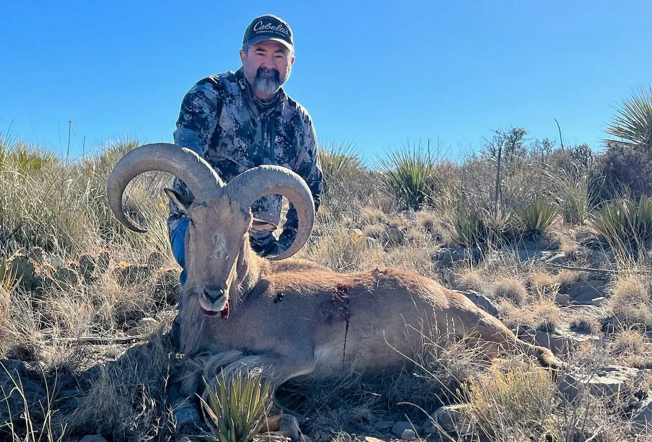 Hueco Ranch Aoudad Hunts — photo 4