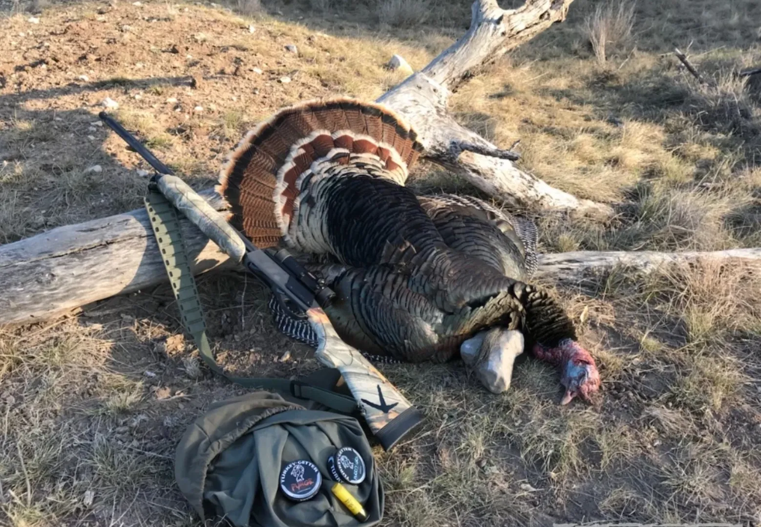 Turkey Hunts Semi-Guided - 2 Day — photo 1
