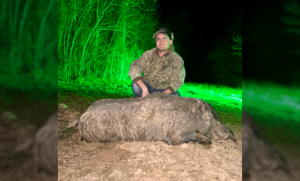Wild Hog Hunt (Day or Thermal Night)