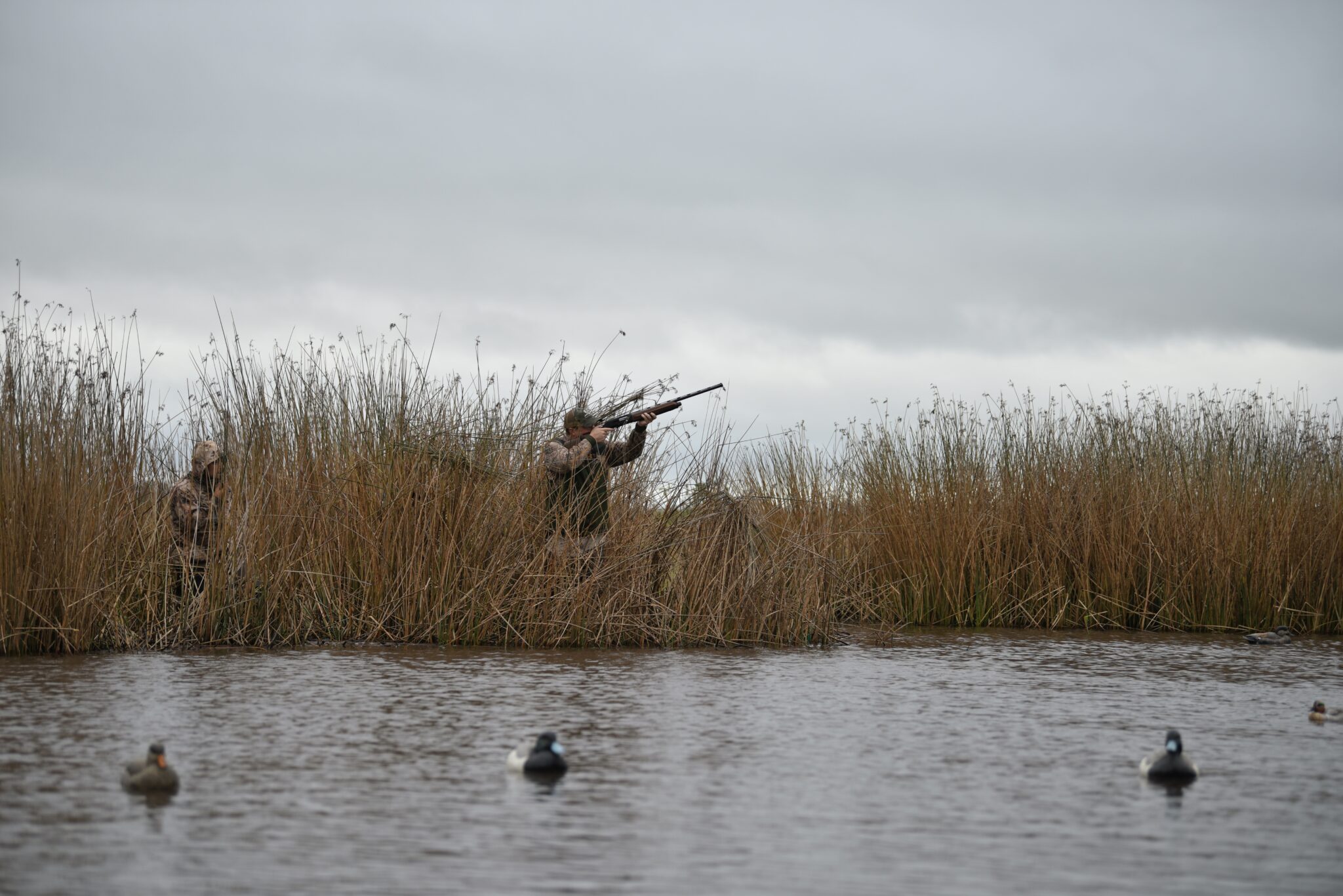 Argentina Duck Hunt — 3 Days / 4 Nights All-Inclusive