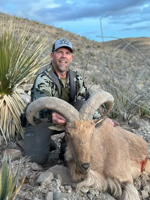 Sierra Blanca Aoudad Hunts