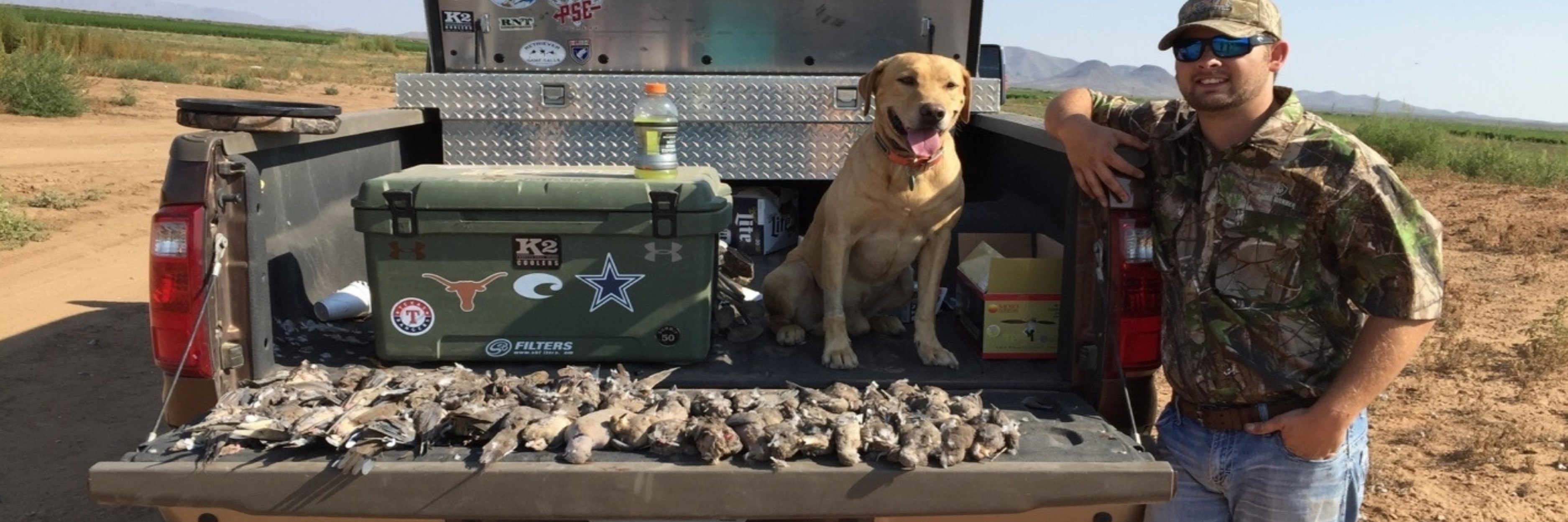 Dove Hunt - Semi-guided