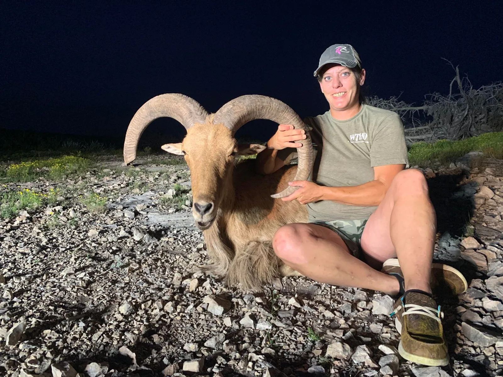Loma Alta Hunting Ranch Aoudad Hunts