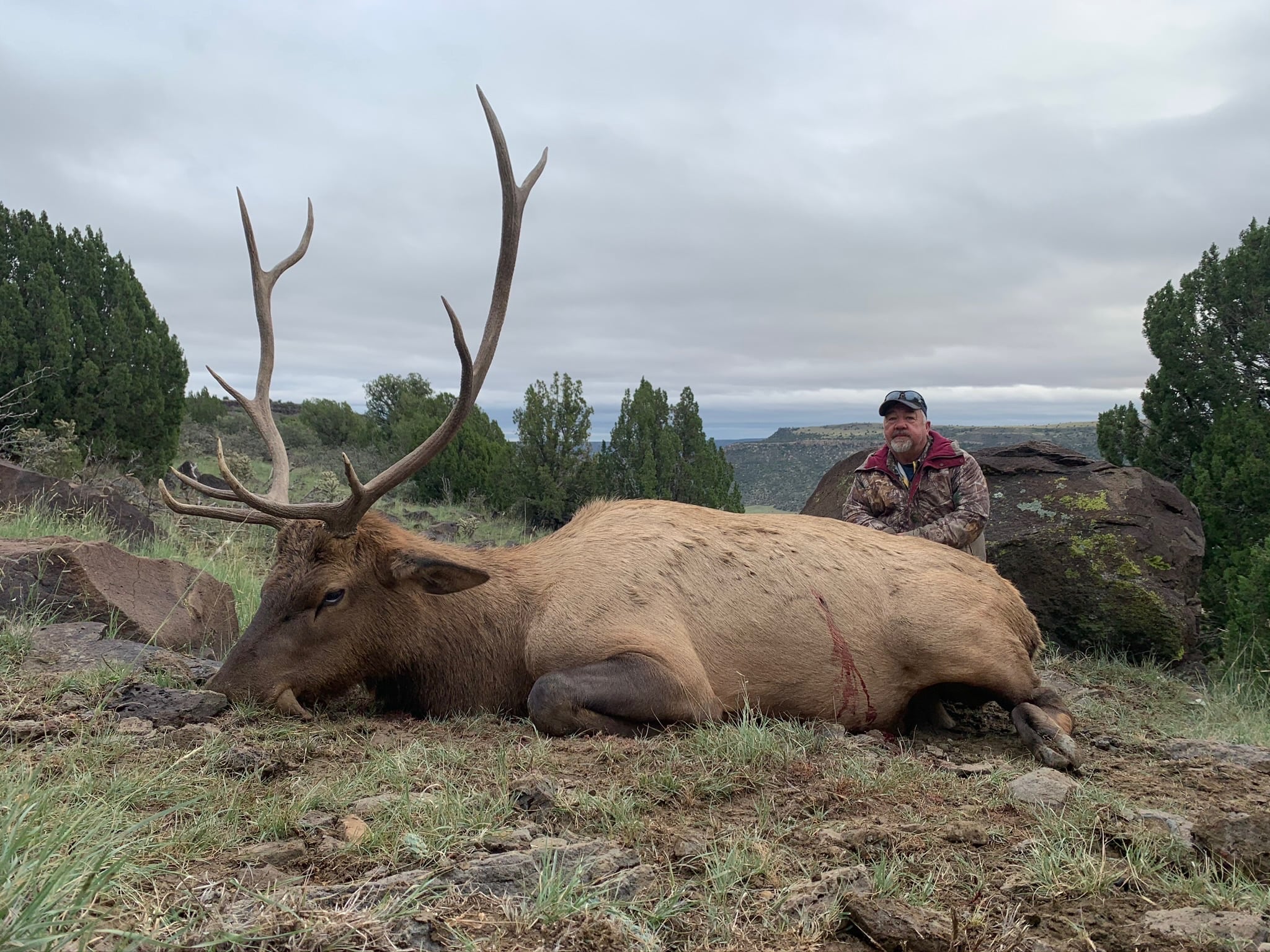 Elk Hunts at Cotton Mesa
