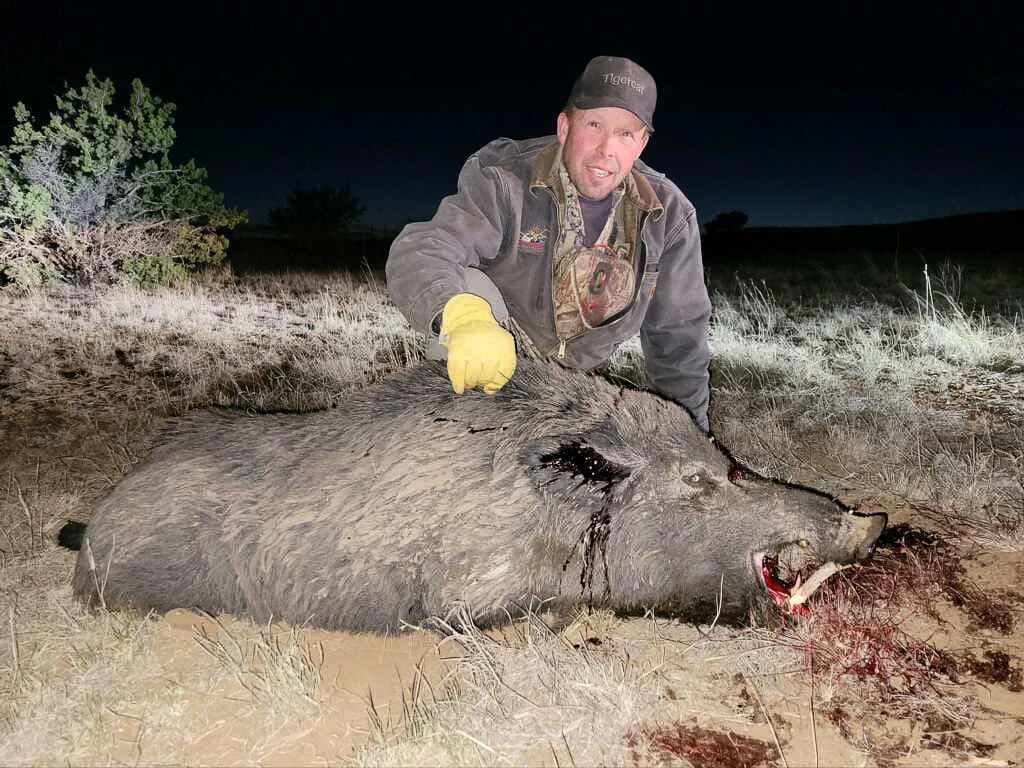 Loma Alta Hunting Ranch Hog Hunts