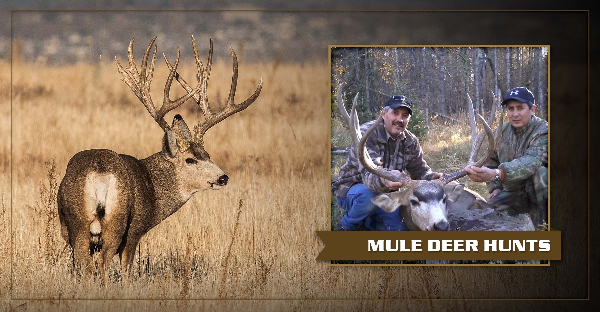 New Mexico Mule Deer Hunts at Sierra Blanca