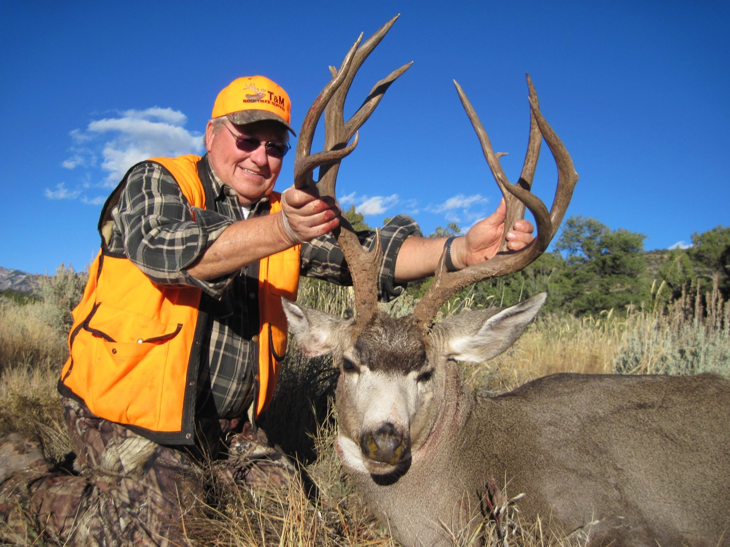 5-Day Guided Elk / Mule Deer Hunt — Units 41 & 421