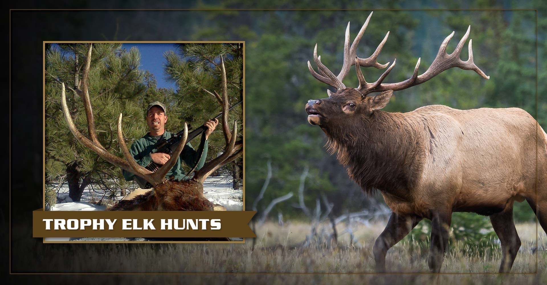 New Mexico Elk Hunts at Sierra Blanca