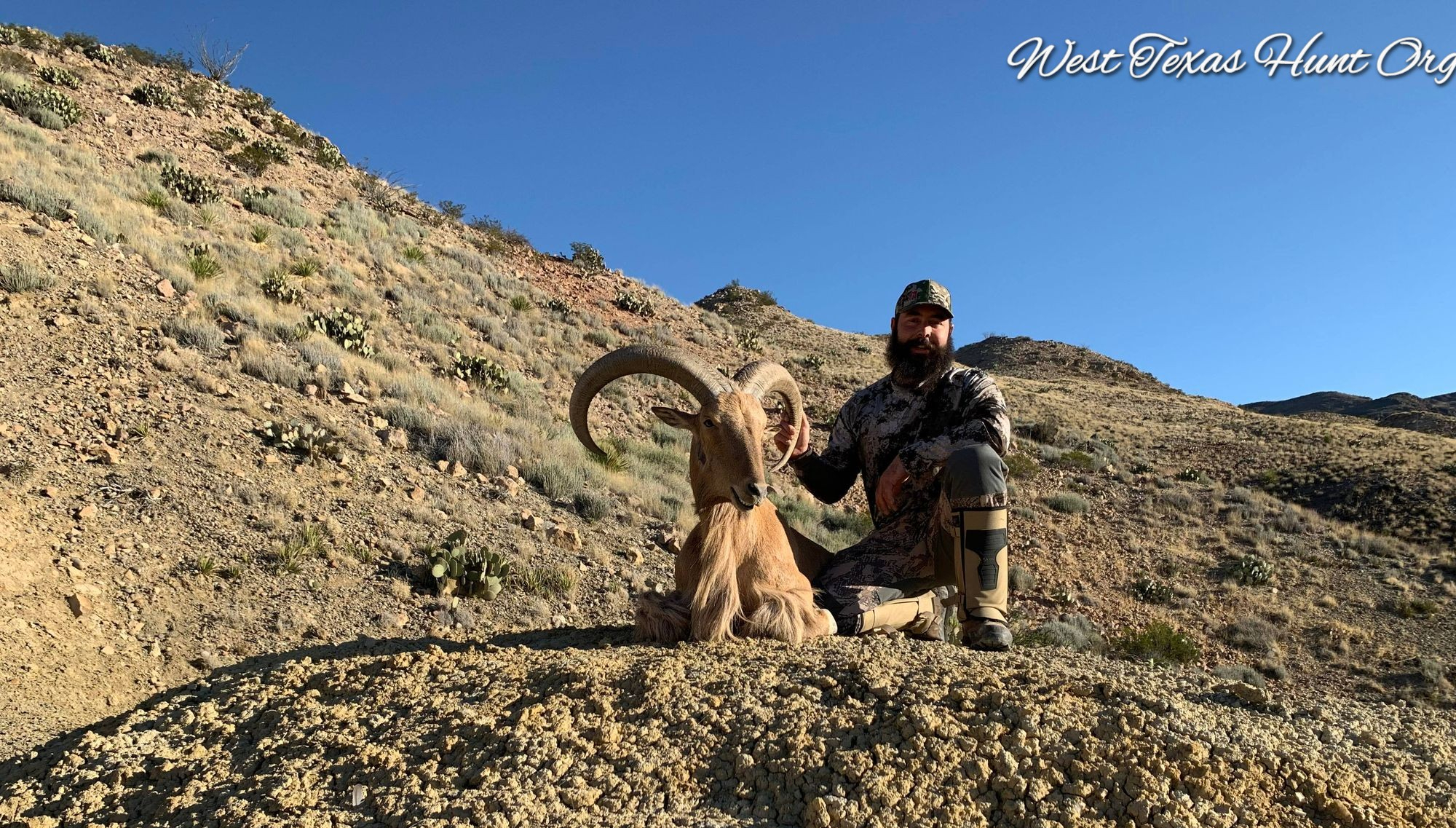 Van Horn Lower Ranch Aoudad Hunts