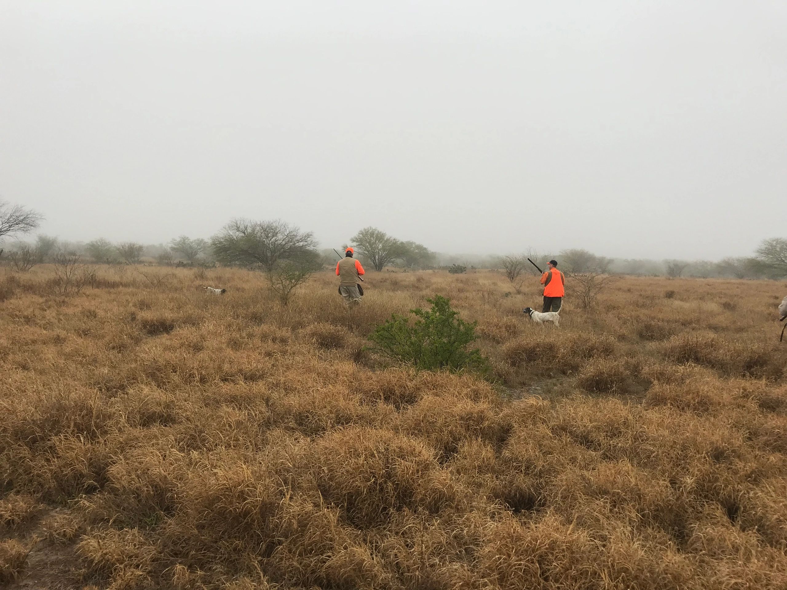Dove Hunts at Dos Hermanos