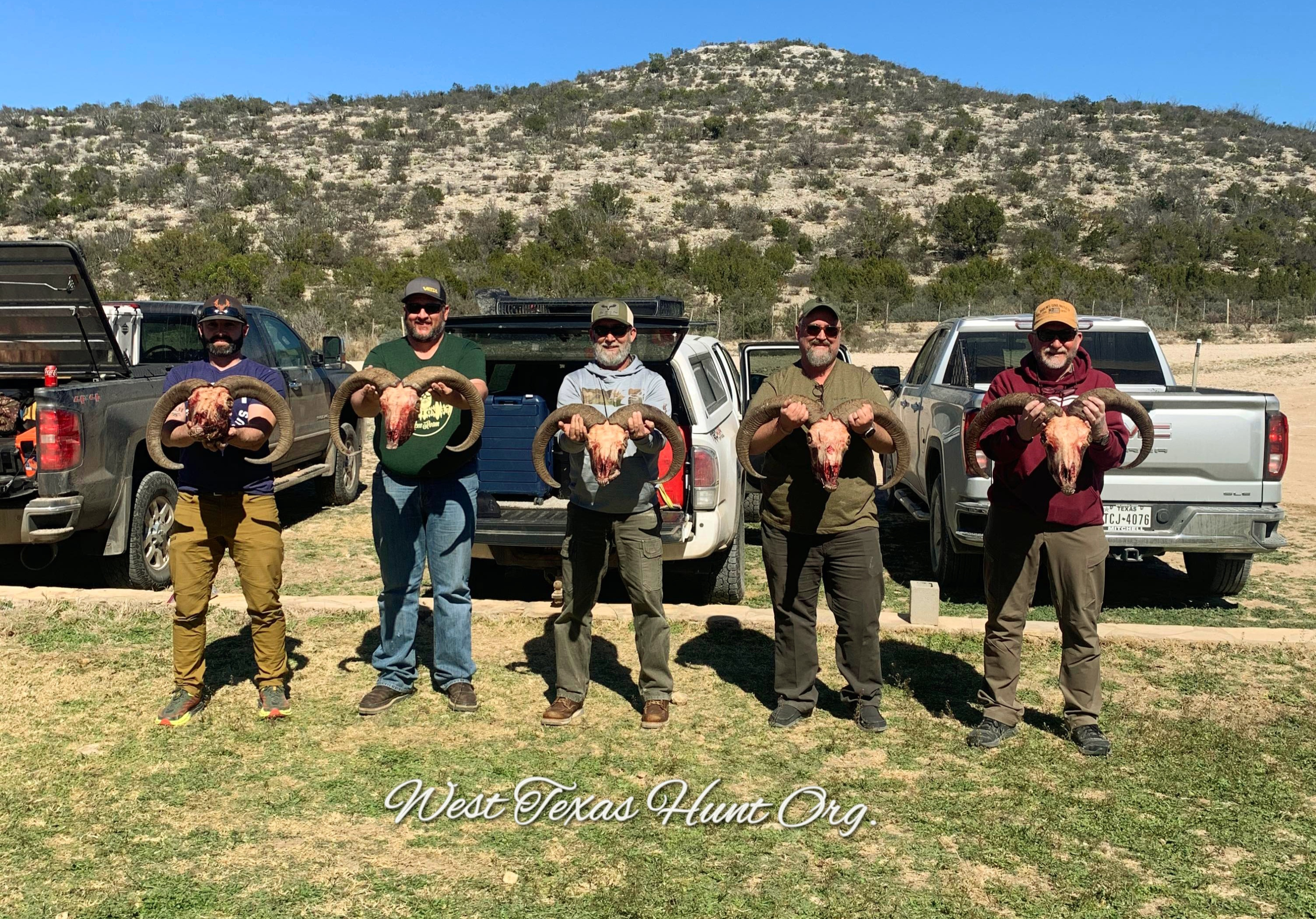 Sawyer Ranch Aoudad Hunts